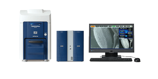 Scanning Electron Microscopy (SEM)